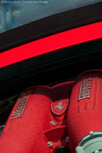 6501a3186776290.jpg